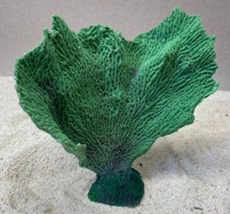 Цветной коралл зеленый Коралл веер, 17*7*15 см