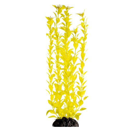 Растение Laguna "Людвигия" ярко-желтая, 400 мм