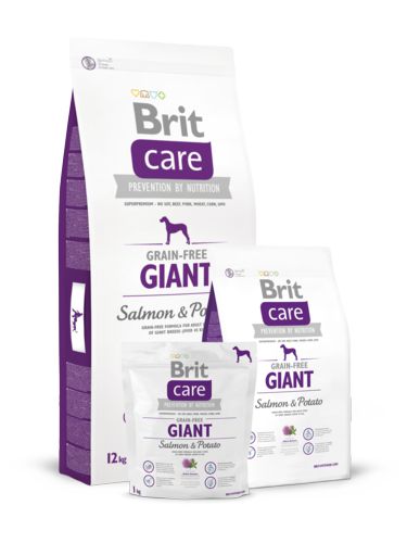 Корм Brit Care Salmon&Potato Giant для взрослых собак гигантских пород, лосось и картофель