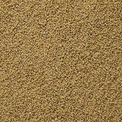 Основной корм Sera ImmunPro Mini для рыб размером до 4 см, гранулы 1000 мл Основной корм Sera ImmunPro Mini для рыб размером до 4 см, гранулы 1000 мл