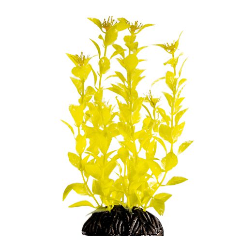 Растение Laguna "Людвигия" ярко-желтая, 200 мм