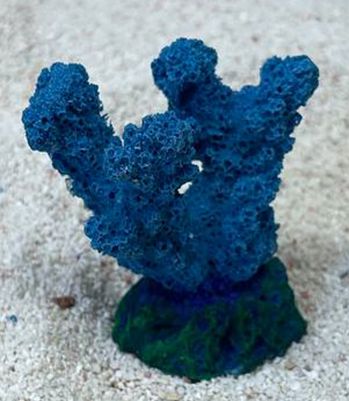 Кр-623н Цветной коралл синий Коралл рога, 5,5*3,5*5 см