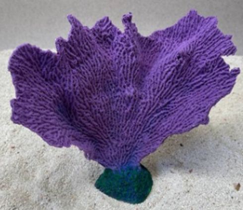 Цветной коралл фиолетовый Коралл веер, 17*7*15 см