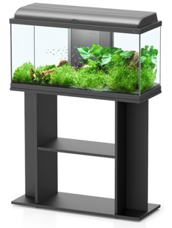 Аквариум с тумбой AQUADREAM 80 черный, 90 л, 80х30х115 см от интернет-магазина STELLEX AQUA