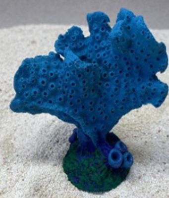 Цветной коралл синий Акропора, 9*5*10 см