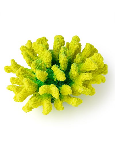 Кр-1547 Коралл брокколи желто- зелёный, 14*13*7 см