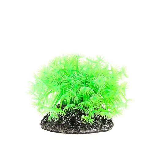Коралл VITALITY мягкий, пластик, зеленый, 10х10х10 см