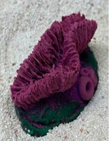 Цветной коралл пурпурный Гониопора, 7х5х4 см
