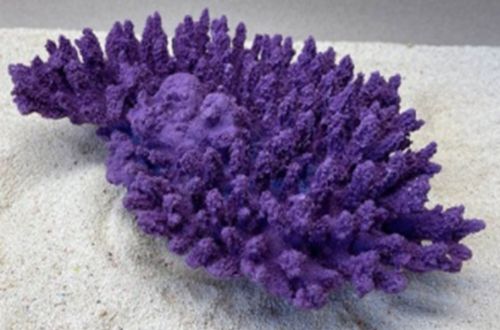 Цветной коралл фиолетовый Белиз 1, 28*19*10 см