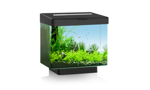 JUWEL Vio 40 аквариум LED, черный, 30 л