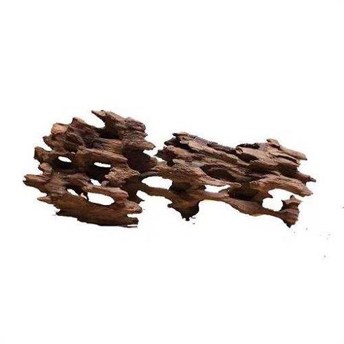 PRIME Коряга Дракон M, 20-30 см