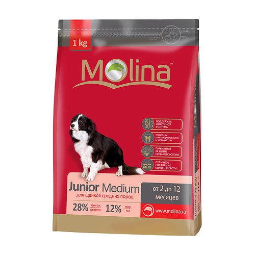 Корм Molina Junior Medium для щенков средних пород