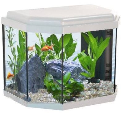 Аквариум AQUATLANTIS ATLANTIS CALYPSO 40 белый, 27 л, 40х25х34см от интернет-магазина STELLEX AQUA