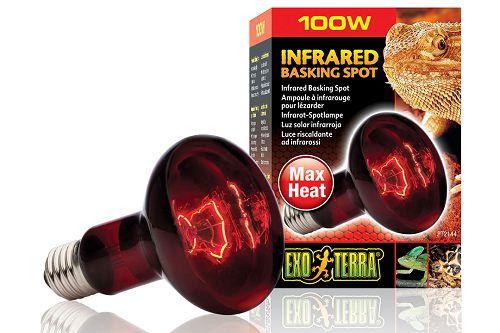 Exo Terra INFRARED BASKING SPOT инфракрасная лампа для террариума, 100 Вт от интернет-магазина STELLEX AQUA
