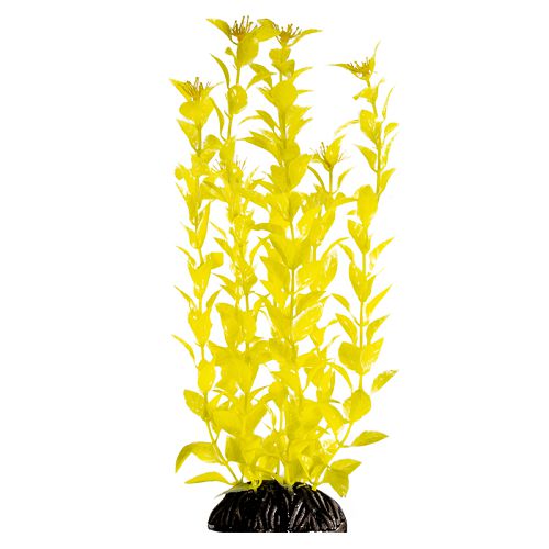 Растение Laguna "Людвигия" ярко-желтая, 300 мм