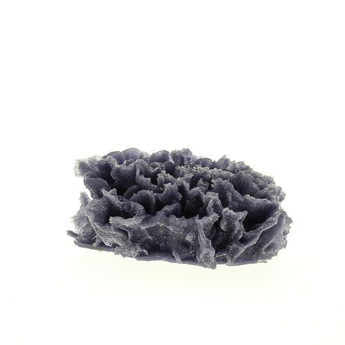 Коралл VITALITY пластик, белый, 13,5х10х6 см
