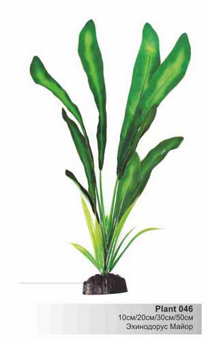 Шёлковое растение Barbus Эхинодорус майор 10 см