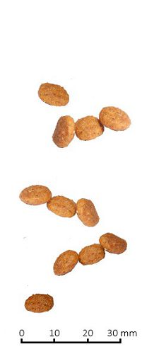 Диета FARMINA Vet Life Cat Hepatic для кошек при хронической печеночной недостаточности