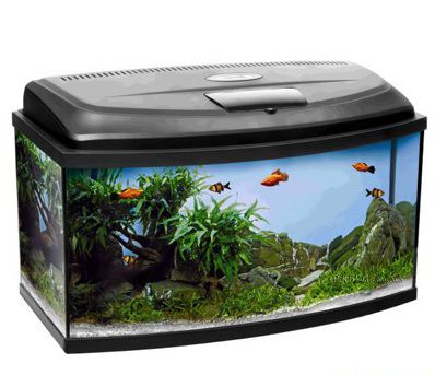 Аквариум Aquael Classic LED PAO 60 фигурный, 45 л, 60х30х30 см