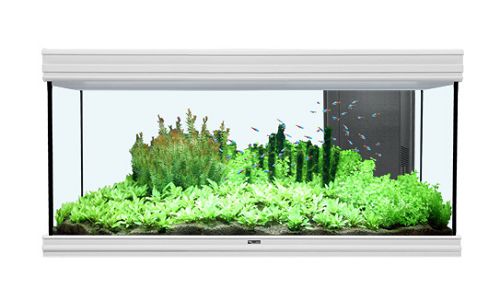 Аквариум AQUATLANTIS FUSION 120, 244 л, 120х40х60 см от интернет-магазина STELLEX AQUA