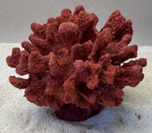 Цветной коралл красный Коралл средний, 18*17*14 см