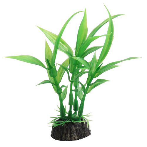 Растение Laguna "Гигрофила" зеленая, 100 мм