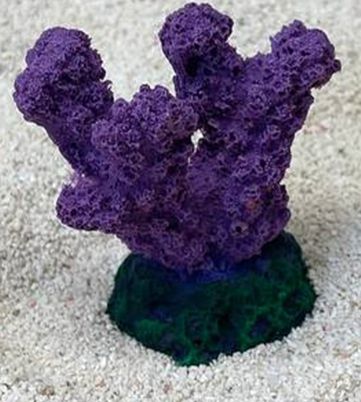 Цветной коралл фиолетовый Коралл рога, 5,5*3,5*5 см