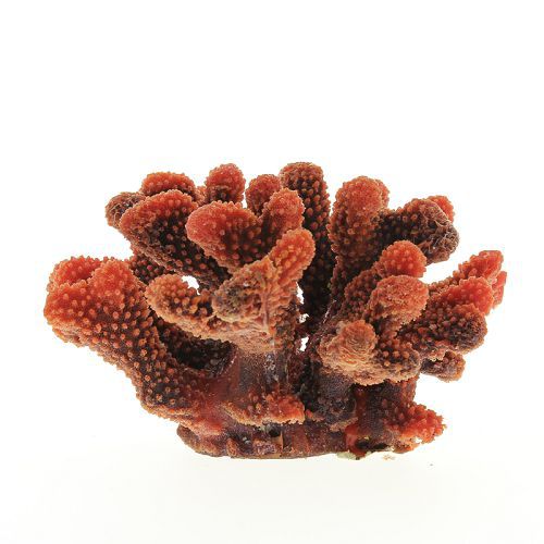 Коралл VITALITY мягкий, пластик, красный, 24x21x13,5 см