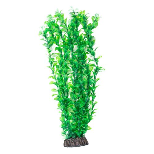 Растение Laguna "Людвигия" зеленая, 400 мм