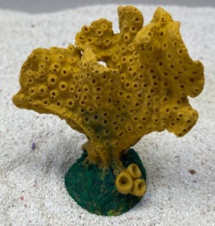 Цветной коралл оранжевый Акропора, 9*5*10 см