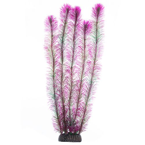 Растение Laguna "Перистолистник" фиолетовый, 500 мм