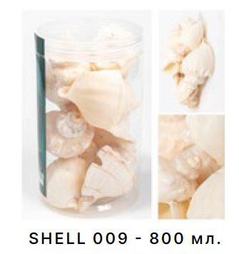 Набор морских раковин Barbus в банке 800 мл/300-400 г