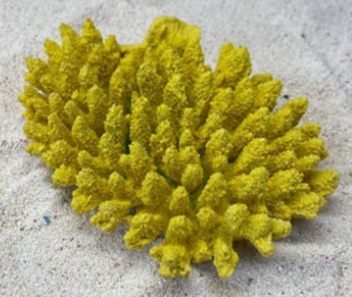 Цветной коралл желтый Белиз 2, 19*14*5 см