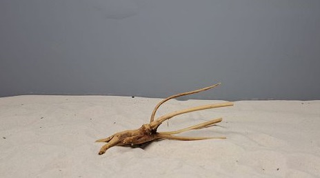 Коряга Сакура мини, до 10 см