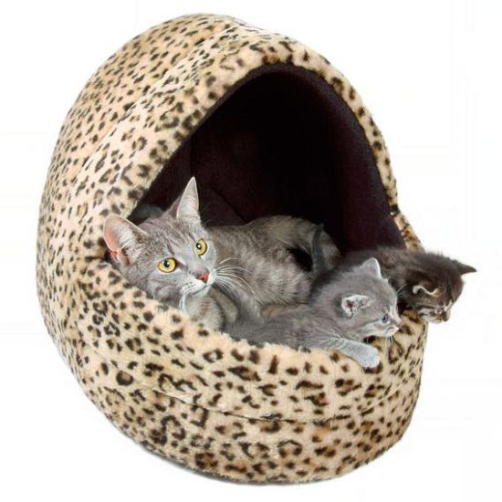 Лежанка для кота картинка