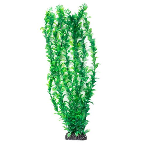 Растение Laguna "Людвигия" зеленая, 500 мм