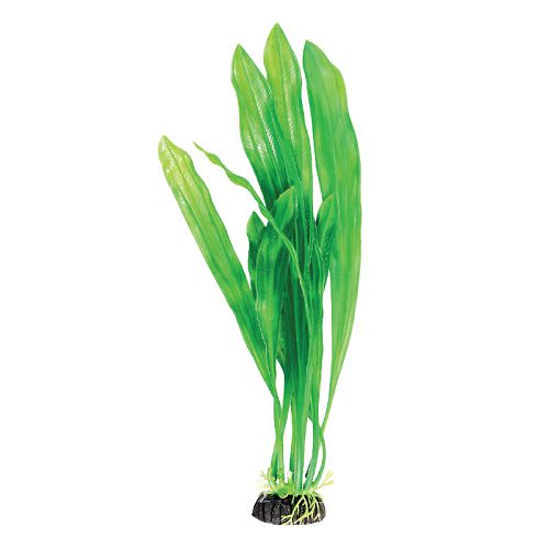 Растение Laguna "Эхинодорус" зеленый, 200 мм