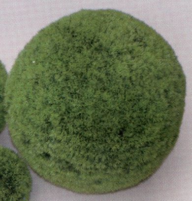 VITALITY Коврик-шар, пластик, зеленый, D=22 см (2866-22)