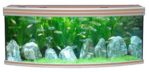 Аквариум AQUATLANTIS EVASION HORIZON 200, 615 л, 200х67х60 см от интернет-магазина STELLEX AQUA