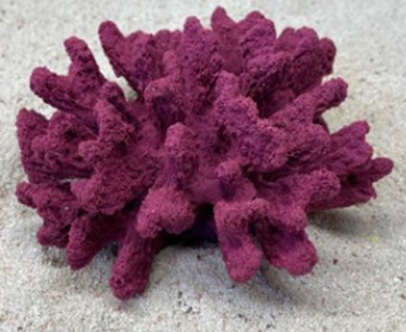 Цветной коралл пурпурный Коралл брокколи, 14*13*7 см
