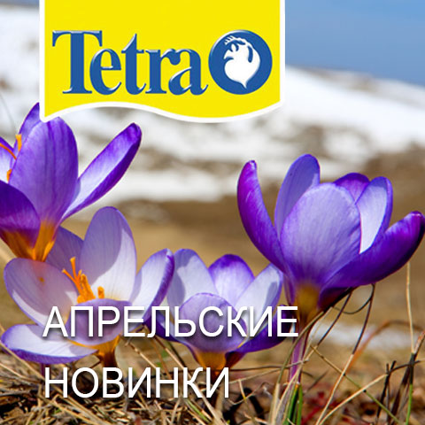 Новинки Tetra в апреле 2021