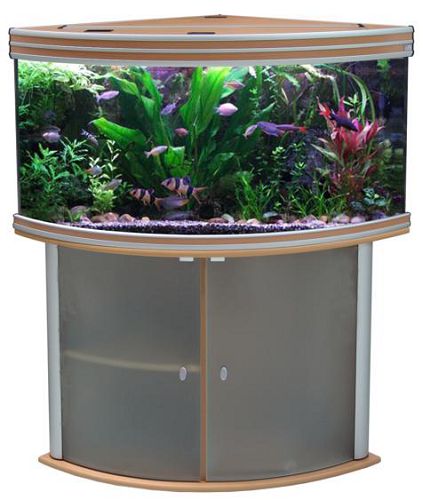 Тумба AQUATLANTIS EVASION CORNER 120 д/аквариума, 120х68х76 см от интернет-магазина STELLEX AQUA