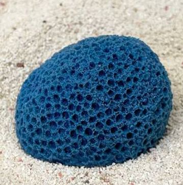 Цветной коралл синий Мозговик малый, 5,5*4,5*3,5 см
