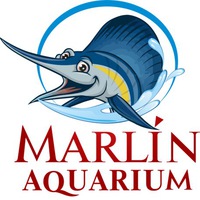 Marlin aquarium Marlin aquarium