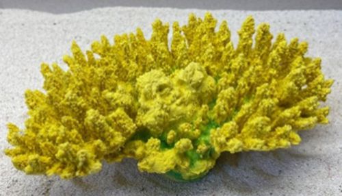 Цветной коралл желтый Белиз 1, 28*19*10 см