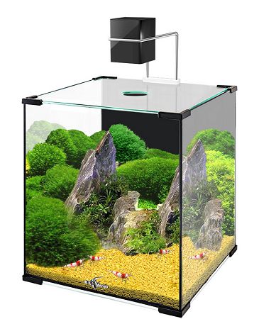 85 Gallon Rimless Aquarium, 30x24x24