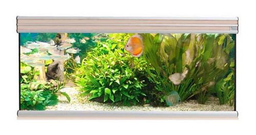 Аквариум AQUATLANTIS EVASION 120х60, 485 л, 120х60х75 см от интернет-магазина STELLEX AQUA