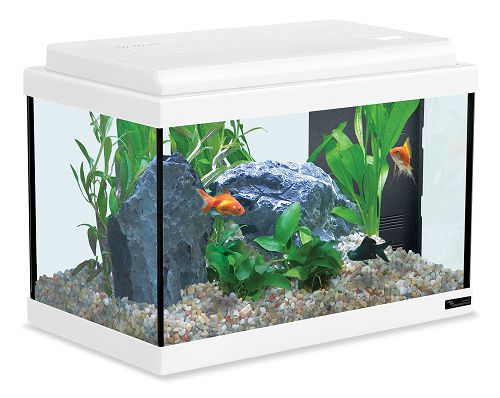 Аквариум AQUATLANTIS ATLANTIS 50 белый, 40 л, 50х25х35 см от интернет-магазина STELLEX AQUA