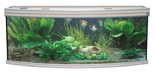 Аквариум AQUATLANTIS EVASION HORIZON 150, 400 л, 150х55х60 см от интернет-магазина STELLEX AQUA