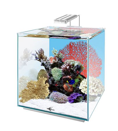 Аквариум Biodesign Q-SCAPE OPTI 35, 33х33х38 см, 35 л от интернет-магазина STELLEX AQUA